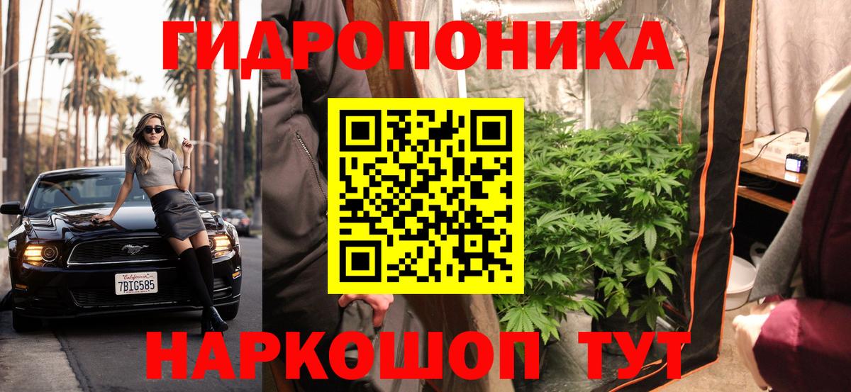 Конопля гибрид Аргун